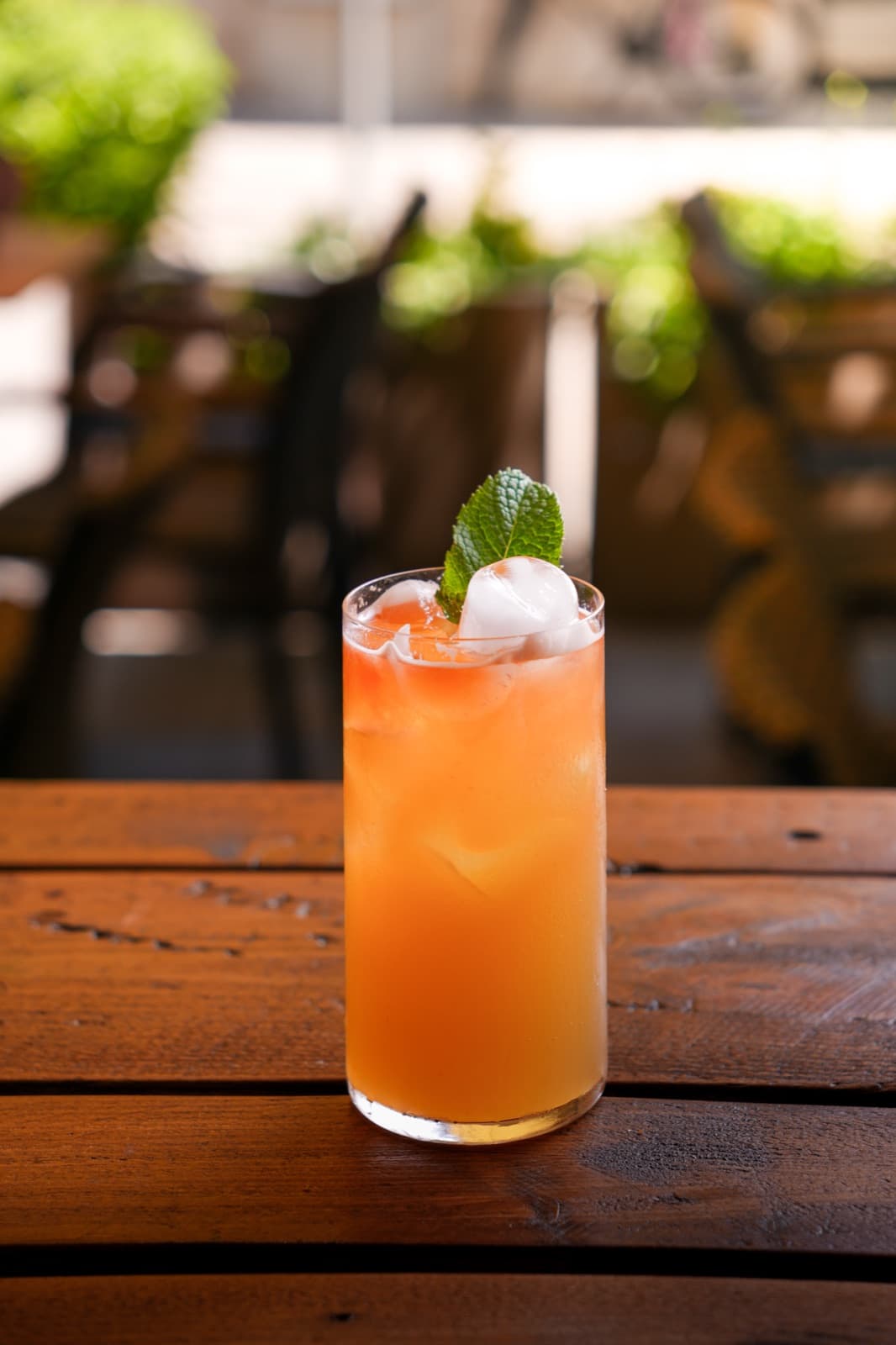 VinArium — Aperitivo