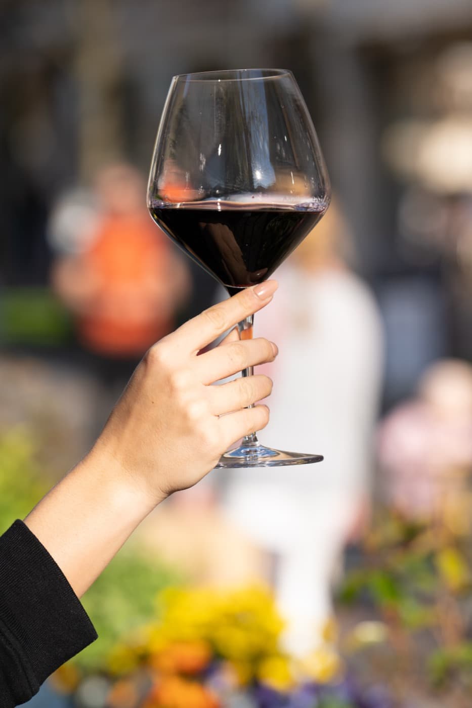 VinArium — Un Calice in Viale